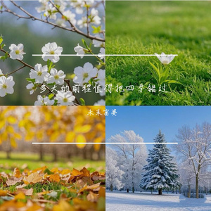 周兰献日三部曲顺序
