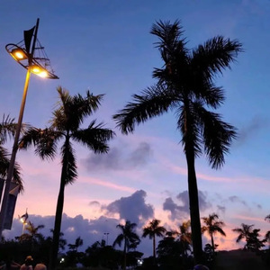 周兰献日三部曲顺序
