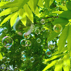 周兰献日三部曲顺序
